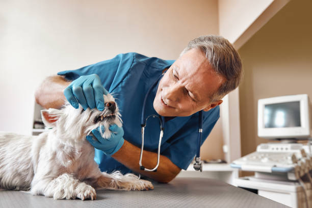 Best Emergency Dental Surgery in Paducah, TX